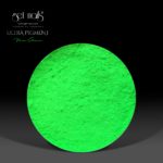 Ultra Pigment Neon Green 1.5g