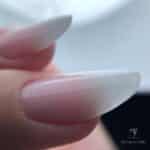 Babyboomer Nails Bundle