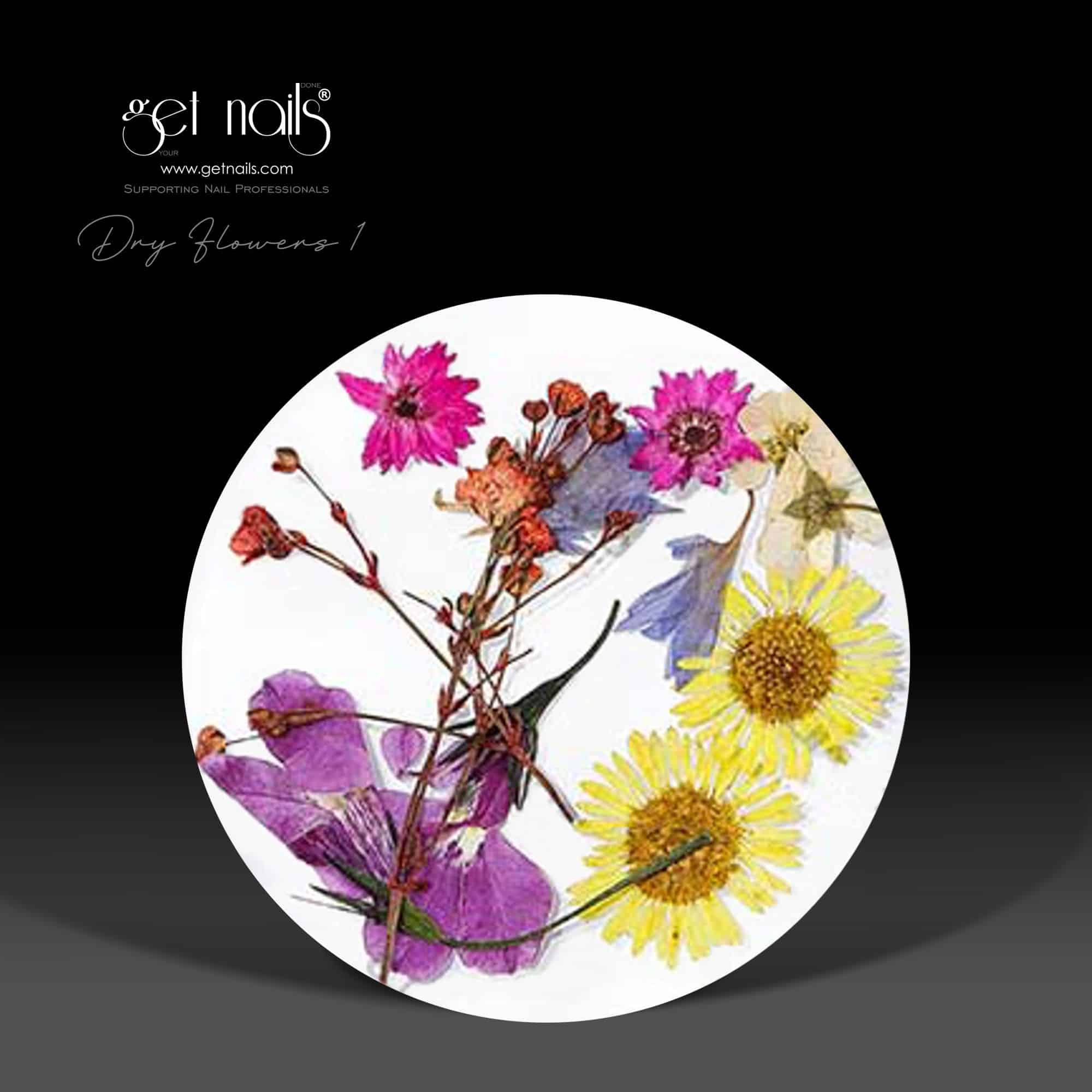 Dry Flowers 1