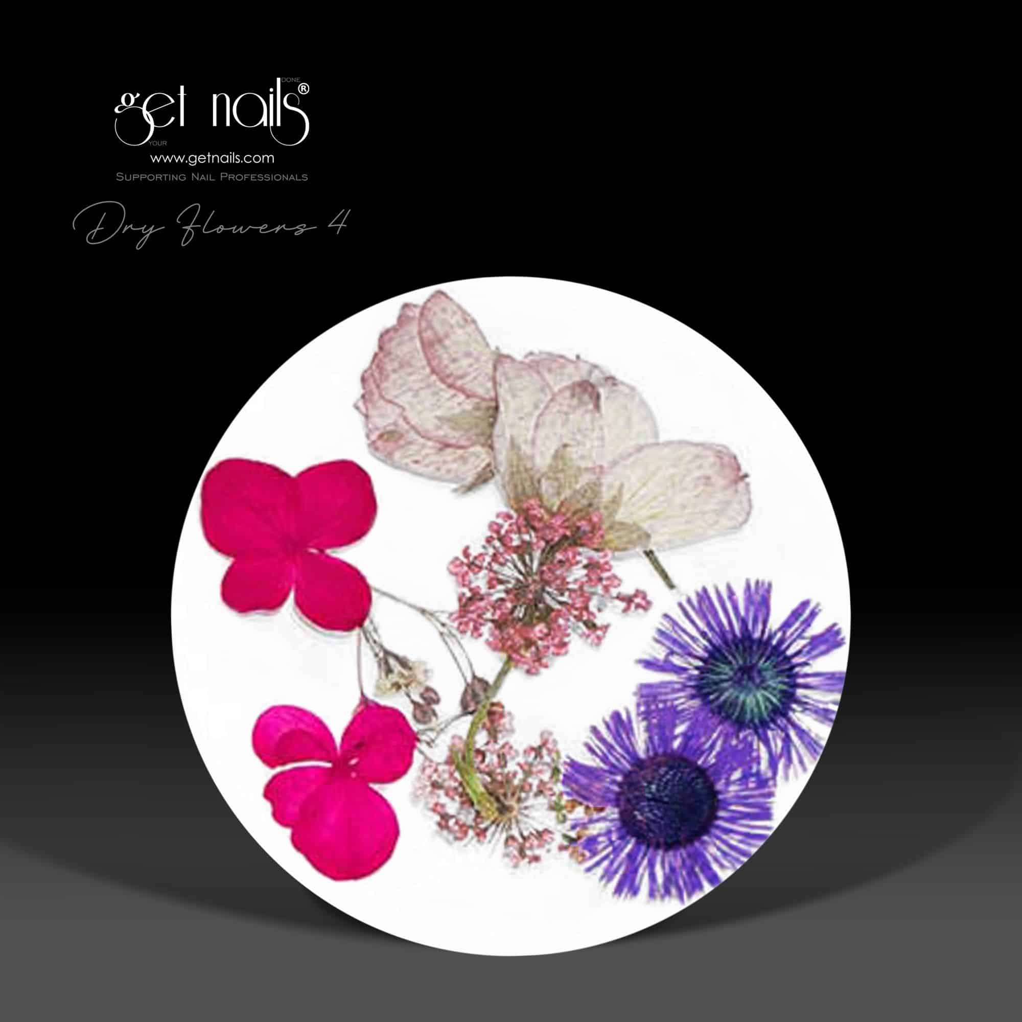 Dry Flowers 4