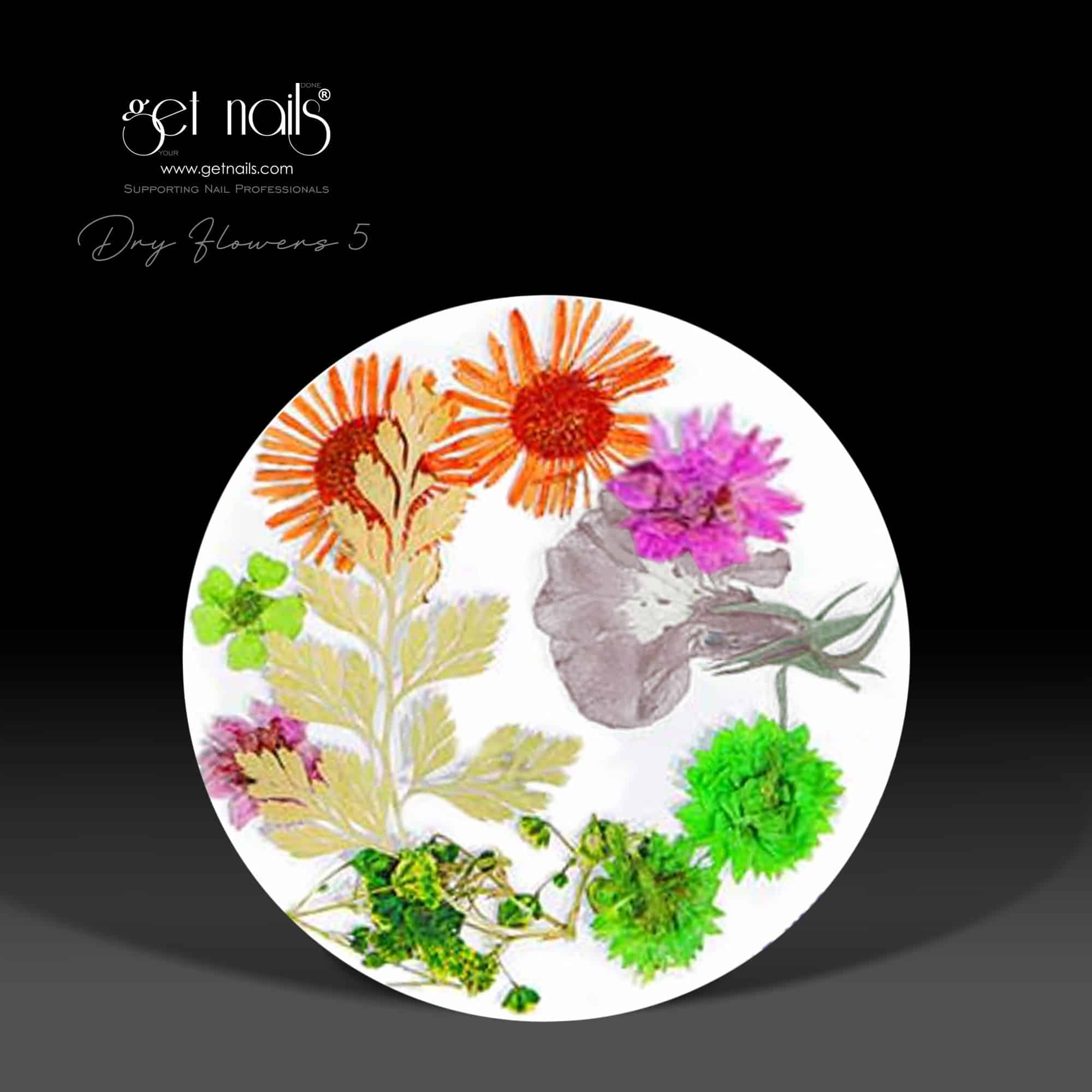 Dry Flowers 5